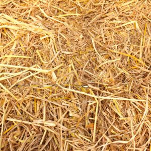 STRAW