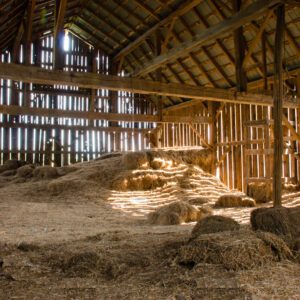 STABLE