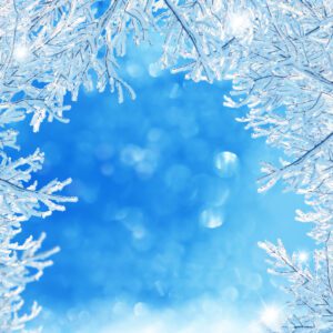 FROST