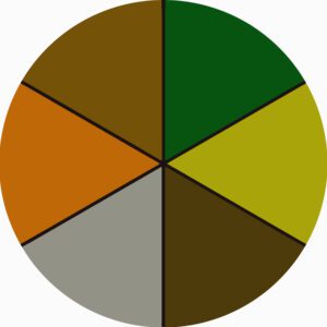AUTUMN COLOUR WHEEL