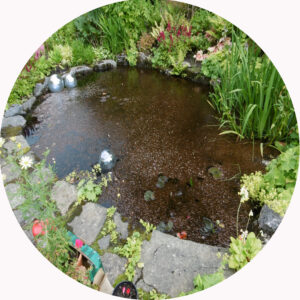 POND