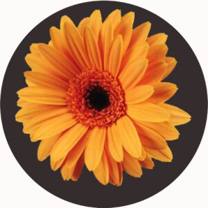 FLOWER PLAYMAT ORANGE