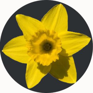 FLOWER PLAYMAT YELLOW