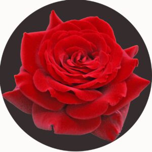 FLOWER PLAYMAT RED