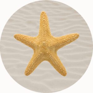SHELL PLAYMAT STARFISH