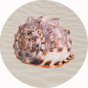 SHELL PLAYMAT CONCH