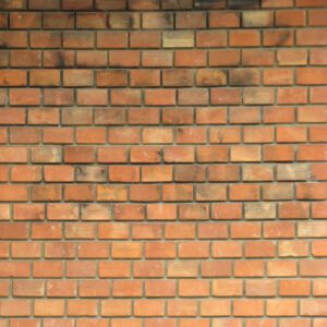 BRICKS
