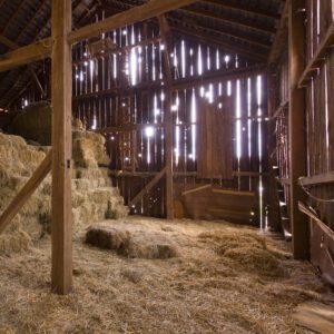 BARN