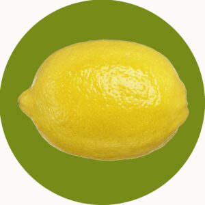 FRUIT PLAYMAT LEMON