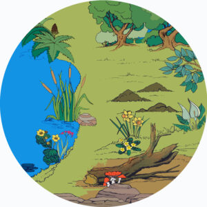 MINIBEASTS