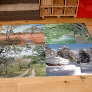 FOUR SEASONS