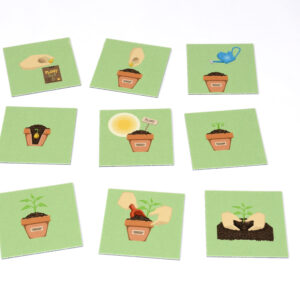 SEQUENCING - GROWING PLANT