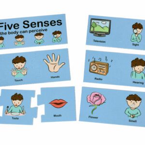 SENSES 3 PIECE PUZZLES