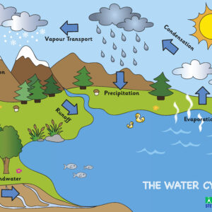 WATER CYCLE WALLBOARD